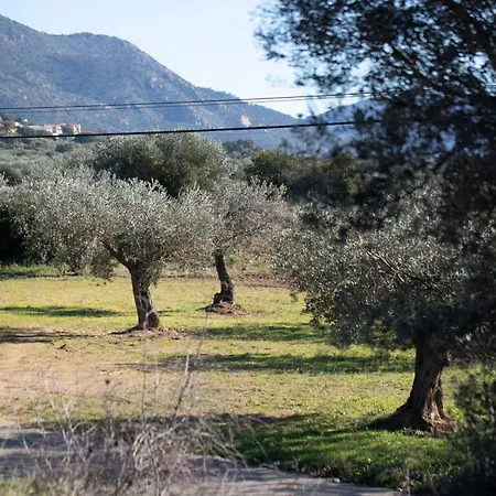 Casa Artistica I Acollidora A Holiday home *